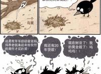 阿衰头顶马桶只为避难，乌鸦：可曾听闻愤怒的小鸟？