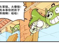 星太奇：三只小猪盖房子，却遇大灰狼玩转愤怒的小鸟！