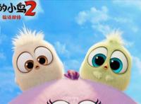 《愤怒的小鸟2》值得期待，全程笑到停不下来