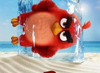 萌一夏！继《爱宠2》之后，《愤怒的小鸟2》也要来啦！