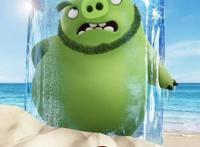 萌一夏！继《爱宠2》之后，《愤怒的小鸟2》也要来啦！