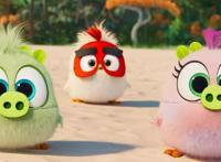 萌一夏！继《爱宠2》之后，《愤怒的小鸟2》也要来啦！