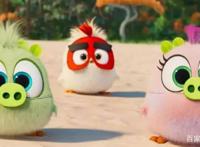 《愤怒的小鸟2》全新爆笑来袭，颠覆传统强强联手