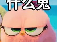 《愤怒的小鸟2》全新爆笑来袭，颠覆传统强强联手