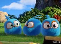 动漫推荐《愤怒的小鸟：蓝弟弟》软萌毛团冒险记！大人小孩都爱！