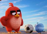 《愤怒的小鸟2》：故事情节轻松搞笑，主角设定很特别