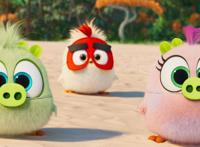 《愤怒的小鸟》拟人化：小红像大反派，小黑又酷又辣、御姐范拉满