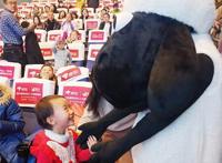 肖恩究竟是谁？《小羊肖恩2：末日农场》带你认识这位“巨星”