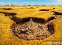 看电影《小羊肖恩2：末日农场》