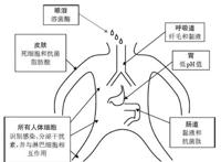 既然免疫系统是人体守护神，为何面对肿瘤却不给力