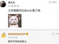 央视时隔14年首次播出日本动漫，满口得劲儿的东北话