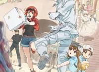 央视14年来唯一引进的日本动漫神作，感谢37兆为你努力的细胞