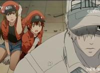 央视14年来唯一引进的日本动漫神作，感谢37兆为你努力的细胞