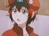 《工作细胞》影评：一把扫帚扫出了城市的文明