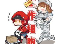 央视时隔14年首次播出日本动漫，满口东北话的《工作细胞》好逗