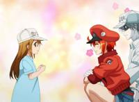 不散观影团｜《工作细胞：细胞大作战》上海 广州 北京 杭州·免费观影