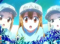 《工作细胞：细胞大作战》为何口碑好票房低？难道只是水土不服？