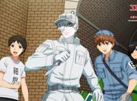 《工作细胞：细胞大作战》全国公映，科普电影也可以拍得通俗好看