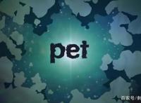 思维覆写，谁才是真正的Pet？