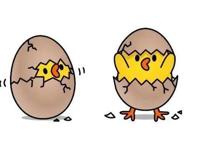 用原型化故事，打造企业家的个人IP｜陈格雷