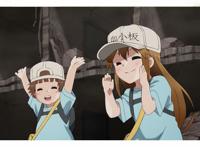 日本评选不能错过的一月新番，《堀与宫村》上榜，你错过了哪一部？