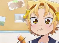 四月新番《八十龟酱观察日记》阵界斗接近八十龟酱，只因他是猫奴