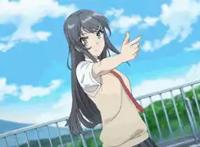 动漫中的黑长直妹子,为什么我身边的图书馆中没有兔女郎学姐?