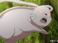 同样是遇见“兔子”，桐人和亚丝娜炖吃，菜月昴却被兔子吃