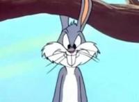 这几部动画辣眼又毁三观，但是小时候还觉得挺好看