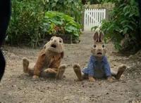 《比得兔》——兔子可爱，但故事三观奇葩