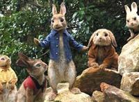 《比得兔》传奇“萌兔”出自“大龄剩女”