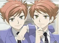 动漫中的双胞胎、龙凤胎：双兔傍地走，安能辨我是兄弟or姐妹？