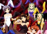 动漫中那些“兔耳娘”，兔子的耳朵可不是随便能摸的哦