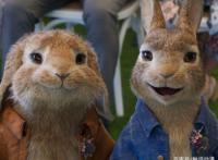 很好看，但有点儿“得了便宜还卖乖”的意思，观《比得兔2》