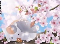 吸猫撸狗过时啦！盘点动漫中人气吊炸天的萌宠，可爱无罪okex！