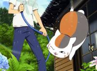 吸猫撸狗过时啦！盘点动漫中人气吊炸天的萌宠，可爱无罪okex！