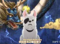 《织田肉桂信长》里宠物的前身——伊达政宗