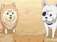 《织田肉桂信长》里宠物的前身——伊达政宗