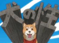 《织田肉桂信长》：古代大将军都转生成了狗子？这脑洞真大！