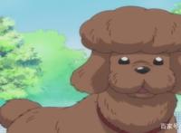 《织田肉桂信长》里宠物的“前世”——黑田官兵卫