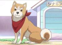 织田肉桂信长：信长为何大骂厨师？爱吃重口味，本质上是个土包子