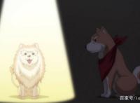 织田肉桂信长：夏天限定新造型，查理变身贵妃，肉桂与狗友开车