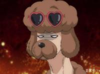 织田肉桂信长：夏天限定新造型，查理变身贵妃，肉桂与狗友开车