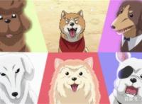 《织田肉桂信长》里宠物的“前世”——上杉谦信