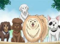 《织田肉桂信长》里宠物的“前世”——上杉谦信