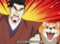 动漫实时资讯：1月新番卧虎藏龙，柯南剧场版新情报，他要真人化