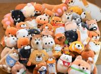 日本网友吐槽：给自家狗买了一堆玩偶，结果狗好像不见了