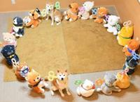 日本网友吐槽：给自家狗买了一堆玩偶，结果狗好像不见了