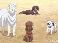 没想到来世居然转世成了小狗，这部动漫最棒的亮点竟然是花絮