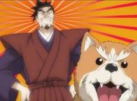 战国武将重生变汪星人，这部爆笑的动漫不容错过